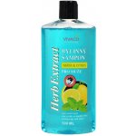 Herb extract šampon pro muže máta a citrus 500 ml – Hledejceny.cz