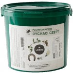 Leros Pulmoran Horse 1 kg – HobbyKompas.cz