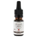 Bachovy květové esence Čekanka obecná Chicory 10 ml – Hledejceny.cz