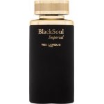 Ted Lapidus Black Soul Imperial toaletní voda pánská 100 ml – Hledejceny.cz