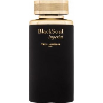 Ted Lapidus Black Soul Imperial toaletní voda pánská 100 ml