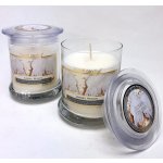 Bartek Candles Angel Wings 260 g – Zboží Mobilmania