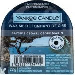 Yynke Candle Bayside Cedar vonný vosk do aromalampy 22 g – Zboží Dáma