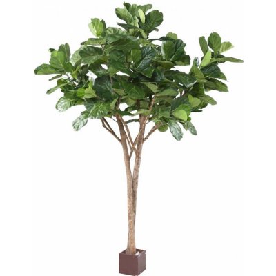 Luxusní umělý strom FICUS LYRATA MULTI TREE, 340cm – Zboží Mobilmania