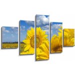 Obraz pětidílný 5D - 125 x 70 cm - Some yellow sunflowers against a wide field and the blue sky Některé žluté slunečnice proti širokému poli a modré obloze