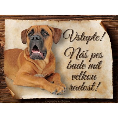 Sport hobby Cedulka Cane corso II Vstupte CP1657 15x11 – Zboží Mobilmania