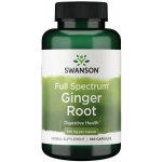 Swanson Zázvor Ginger Root 540 mg 100 kapslí – Hledejceny.cz