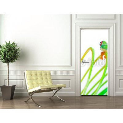 WEBLUX 38488901 Samolepka na dveře fólie Colorful Frog on a spring Barevné žába na jaře cívka hračku rozměry 90 x 220 cm – Zbozi.Blesk.cz