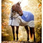 Horseware Lehká výběhová deka Rambo Autumn s krkem navy grey – Zbozi.Blesk.cz