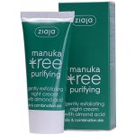 Ziaja Manuka Tree Purifying jemně exfoliační noční krém 50 ml – Zbozi.Blesk.cz