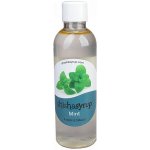 Shishasyrup Mint 100ml – Zboží Mobilmania