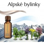 Slow-Natur Alpské byliny Vonný olej 10 ml – Hledejceny.cz