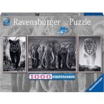 Ravensburger Panter slon a lev Panorama 1000 dílků – Sleviste.cz