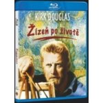 ŽÍZEŇ PO ŽIVOTĚ - Blu-ray – Hledejceny.cz