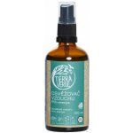 Tierra Verde Osvěžovač vzduchu - BIO Chladivé osvěžení 100 ml – Hledejceny.cz
