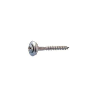 Coleman Klempířský vrut - 35x4,5 nerez TORX EPDM podl. 7545035.0000 – Hledejceny.cz