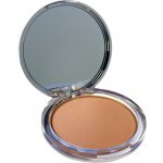 Clinique Stay Matte Sheer Pressed Powder Kompaktní pudr pro dlouhotrvající matný vzhled 1 Stay Buff 7,6 g – Hledejceny.cz