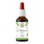 Salvia Paradise Šatavari Shatavari AF tinktura BIO 50 ml – Hledejceny.cz
