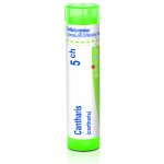 CANTHARIS POR 5CH GRA 1X4G – Hledejceny.cz