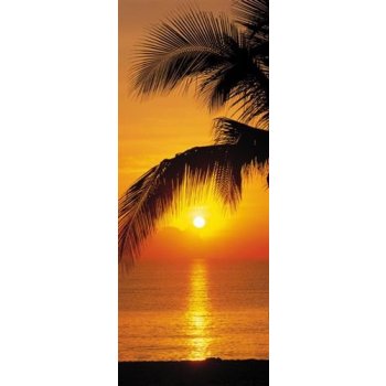 Komar 2-1255 Fototapeta moře Palmy Beach Sunrise Rozměr 92 x 220 cm