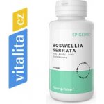 Epigemic Boswellia Serrata Epigemic 90 kapslí – Hledejceny.cz