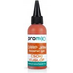 Promix Carp Booster Jam Čokoláda 60 ml – Hledejceny.cz