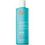 Moroccanoil Moisture Repair Shampoo 250 ml – Zboží Mobilmania