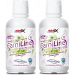 Amix CarniLine Pro Fitness + Bioperine 480 ml – Hledejceny.cz