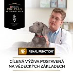 Purina Pro Plan Veterinary Diets NF Renal Function 400 g – Sleviste.cz