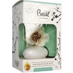 Brait dekorativní osvěžovač vzduchu AROMA 75 ml Frosty delight – Sleviste.cz
