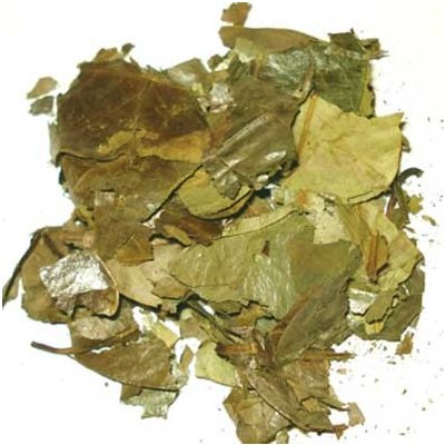 World Herbs Graviola anona list 100 g – Zboží Mobilmania