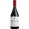 Víno Cal Grau Clos Badaceli suché červené 2018 15,5% 0,75 l (holá láhev)