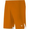 Pánské kraťasy a šortky Mizuno Premium Handball Short