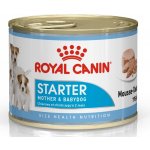 Royal Canin Starter Mother & Babydog Ultra Soft Mousse 195 g – Sleviste.cz