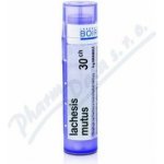 LACHESIS MUTUS POR 30CH GRA 4G – Hledejceny.cz