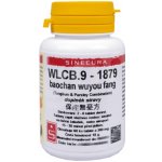 Sinecura WLCB.9-1879 baochan wuyou fang 60 tablet – Hledejceny.cz