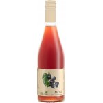 Farma u tří Dubů Rybíz s jablkem 750 ml – Zboží Dáma