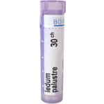 LEDUM PALUSTRE POR 30CH GRA 1X4G – Hledejceny.cz