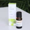 Vonný olej Terpenic esenciální olej Niaouli BIO 10 ml