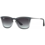 Ray-Ban RB4221 622 8G – Zbozi.Blesk.cz