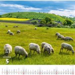 Krásy venkova nástěnný 2026 – Sleviste.cz