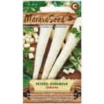 Semínka MoravoSeed Petržel kořenová OSBORNE 1500s