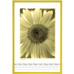 Tradag Rám žlutý s plastem 40x60 – Hledejceny.cz