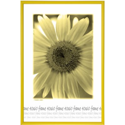 Tradag Rám žlutý s plastem 40x60 – Hledejceny.cz