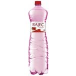 Rajec jemně perlivá brusinka 6 x 1,5 l – Hledejceny.cz