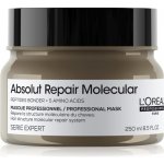 L'Oréal Professionnel Serie Expert Absolut Repair Molecular Mask 250 ml – Zboží Dáma