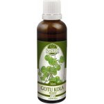 Gotu Kola Brahmí 50 ml – Hledejceny.cz