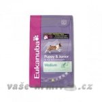 Eukanuba Puppy & Junior Medium Breed 2 x 15 kg – Hledejceny.cz