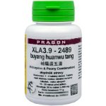 Pragon XLA3.9 - buyang huanwu tang 36 tablet – Hledejceny.cz