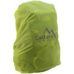 Cattara 13859 32 l green – Hledejceny.cz